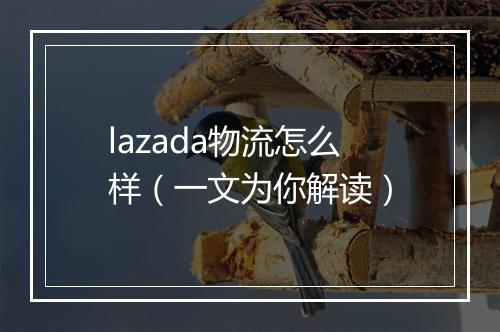 lazada物流怎么样（一文为你解读）