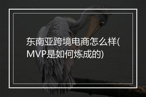 东南亚跨境电商怎么样(MVP是如何炼成的)