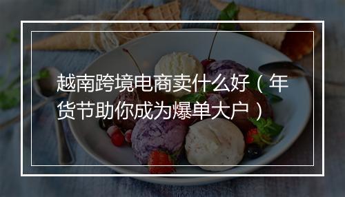 越南跨境电商卖什么好（年货节助你成为爆单大户）