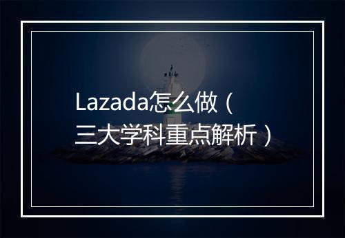 Lazada怎么做（三大学科重点解析）