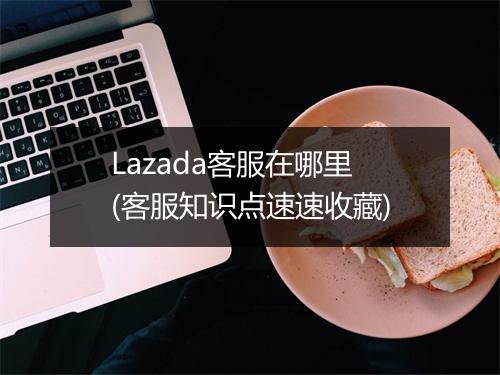 Lazada客服在哪里(客服知识点速速收藏)