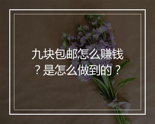 九块包邮怎么赚钱？是怎么做到的？
