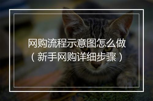 网购流程示意图怎么做（新手网购详细步骤）