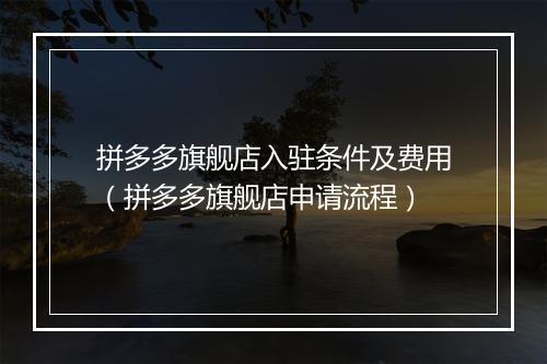 拼多多旗舰店入驻条件及费用（拼多多旗舰店申请流程）