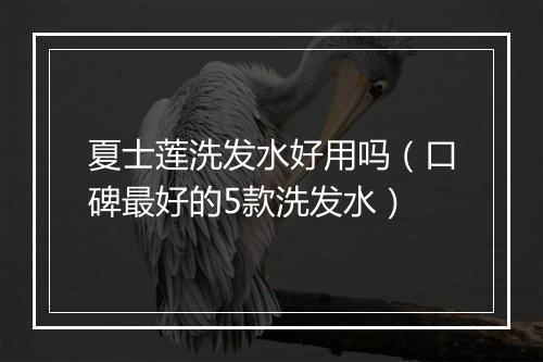 夏士莲洗发水好用吗（口碑最好的5款洗发水）
