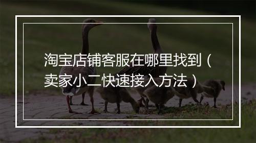 淘宝店铺客服在哪里找到（卖家小二快速接入方法）