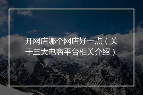 开网店哪个网店好一点（关于三大电商平台相关介绍）