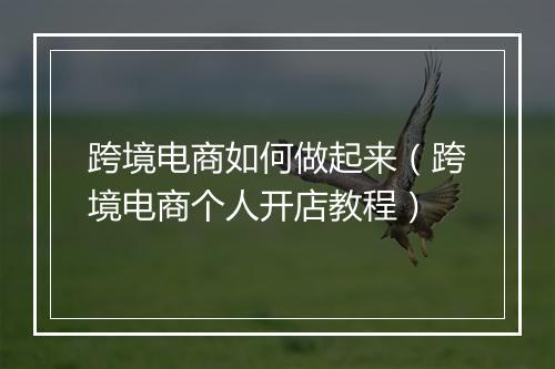 跨境电商如何做起来（跨境电商个人开店教程）