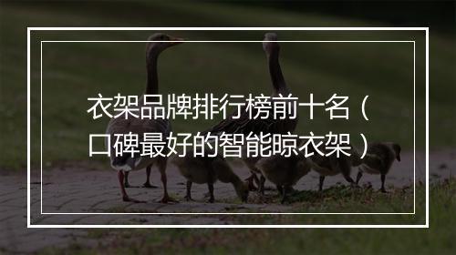 衣架品牌排行榜前十名（口碑最好的智能晾衣架）