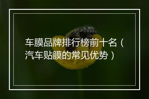 车膜品牌排行榜前十名（汽车贴膜的常见优势）