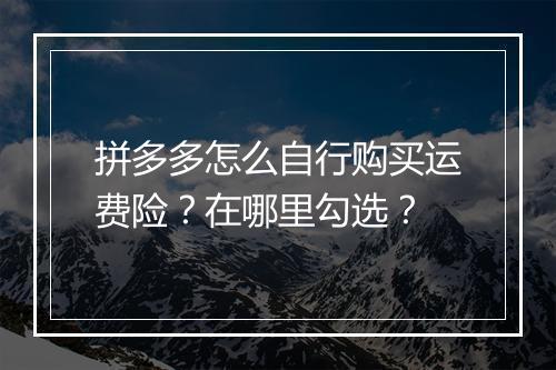 拼多多怎么自行购买运费险？在哪里勾选？