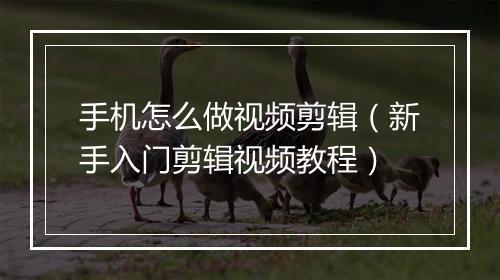 手机怎么做视频剪辑（新手入门剪辑视频教程）