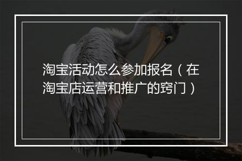 淘宝活动怎么参加报名（在淘宝店运营和推广的窍门）