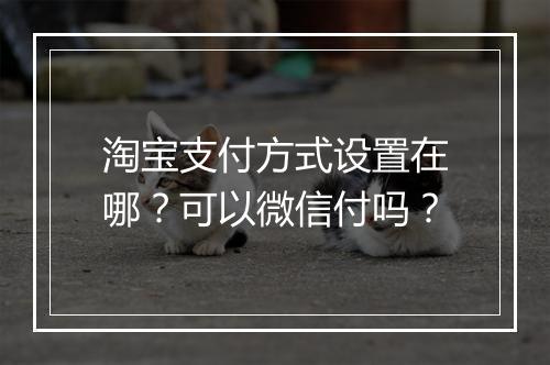 淘宝支付方式设置在哪？可以微信付吗？