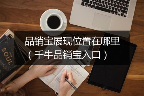 品销宝展现位置在哪里（千牛品销宝入口）