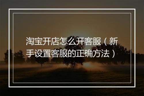 淘宝开店怎么开客服（新手设置客服的正确方法）