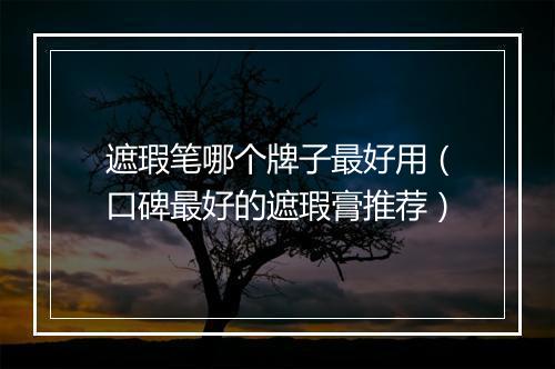 遮瑕笔哪个牌子最好用（口碑最好的遮瑕膏推荐）