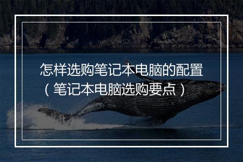 怎样选购笔记本电脑的配置（笔记本电脑选购要点）