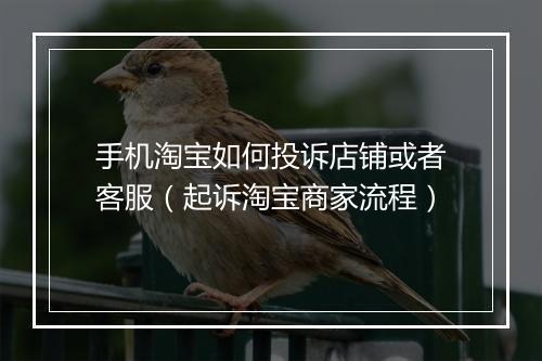手机淘宝如何投诉店铺或者客服（起诉淘宝商家流程）