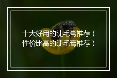 十大好用的睫毛膏推荐（性价比高的睫毛膏推荐）