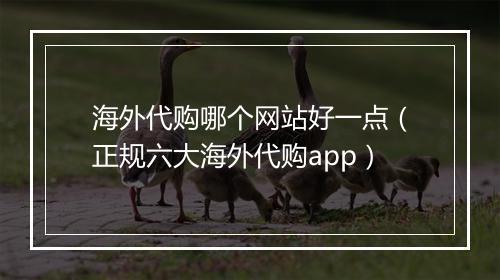 海外代购哪个网站好一点（正规六大海外代购app）