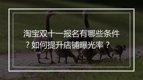 淘宝双十一报名有哪些条件？如何提升店铺曝光率？