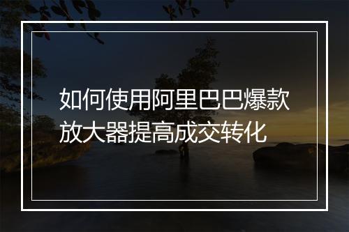 如何使用阿里巴巴爆款放大器提高成交转化