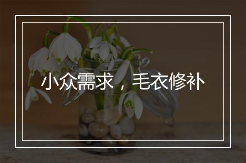 小众需求，毛衣修补