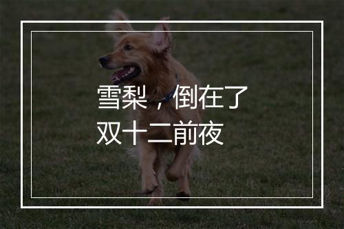 雪梨，倒在了双十二前夜