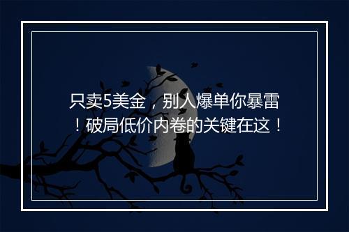 只卖5美金，别人爆单你暴雷！破局低价内卷的关键在这！