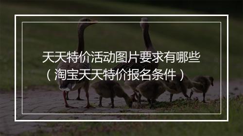 天天特价活动图片要求有哪些（淘宝天天特价报名条件）