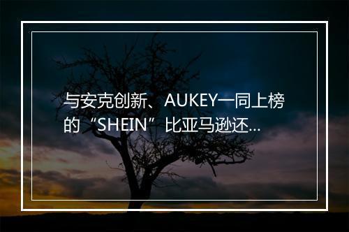 与安克创新、AUKEY一同上榜的“SHEIN”比亚马逊还牛？