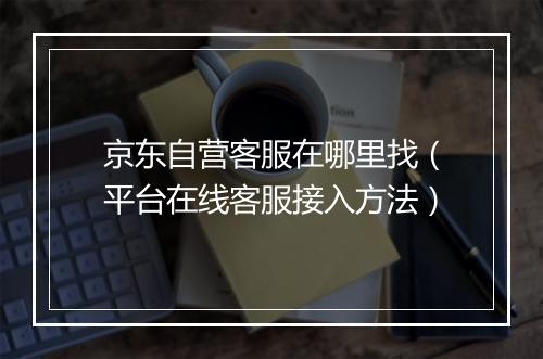 京东自营客服在哪里找（平台在线客服接入方法）