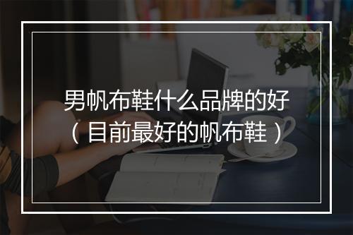 男帆布鞋什么品牌的好（目前最好的帆布鞋）