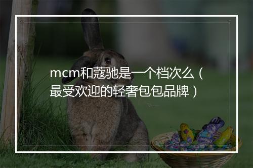mcm和蔻驰是一个档次么（最受欢迎的轻奢包包品牌）