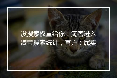 没搜索权重给你！淘客进入淘宝搜索统计，官方：属实
