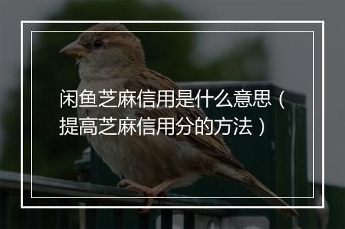 闲鱼芝麻信用是什么意思（提高芝麻信用分的方法）