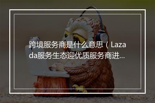 跨境服务商是什么意思（Lazada服务生态迎优质服务商进驻）