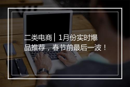 二类电商 ▏1月份实时爆品推荐，春节前最后一波！