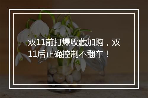 双11前打爆收藏加购，双11后正确控制不翻车！