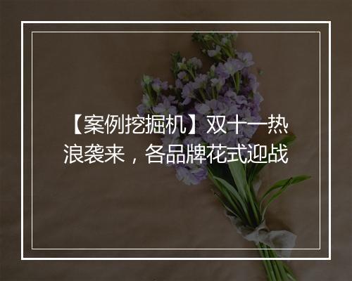 【案例挖掘机】双十一热浪袭来，各品牌花式迎战