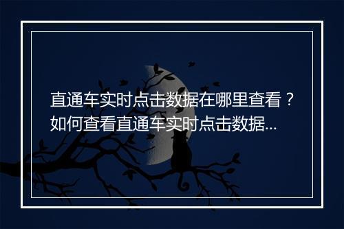 直通车实时点击数据在哪里查看？如何查看直通车实时点击数据？