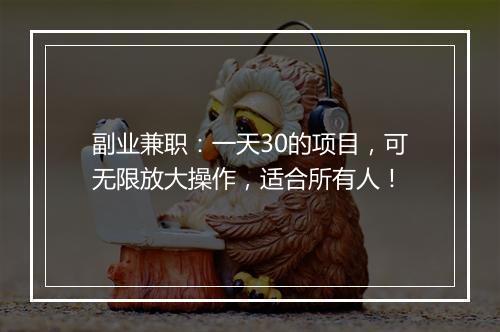 副业兼职：一天30的项目，可无限放大操作，适合所有人！