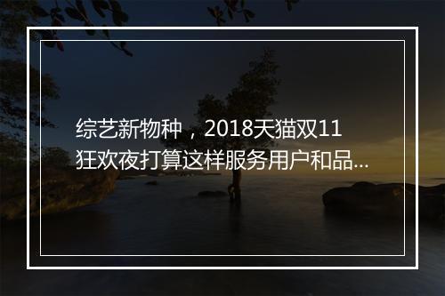 综艺新物种，2018天猫双11狂欢夜打算这样服务用户和品牌