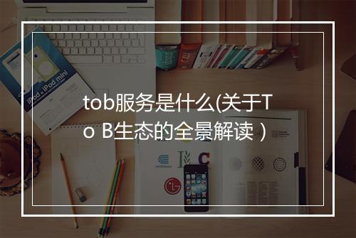 tob服务是什么(关于To B生态的全景解读）