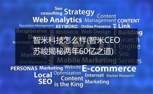 智米科技怎么样(智米CEO苏峻揭秘两年60亿之道)