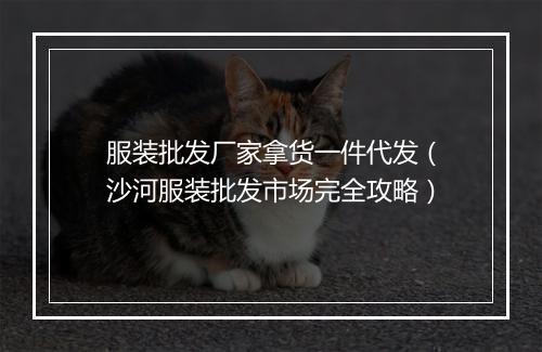 服装批发厂家拿货一件代发（沙河服装批发市场完全攻略）
