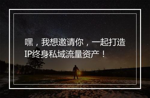 嘿，我想邀请你，一起打造IP终身私域流量资产！