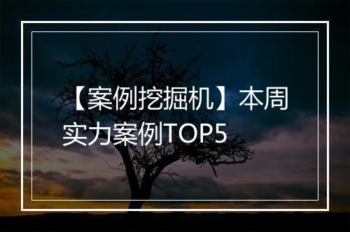 【案例挖掘机】本周实力案例TOP5