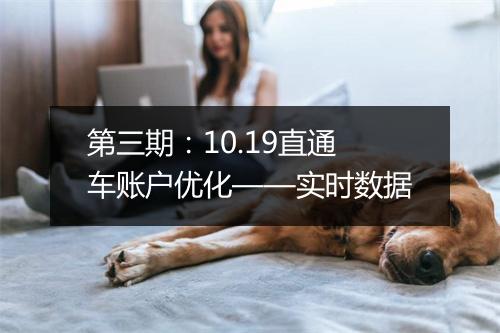 第三期：10.19直通车账户优化——实时数据